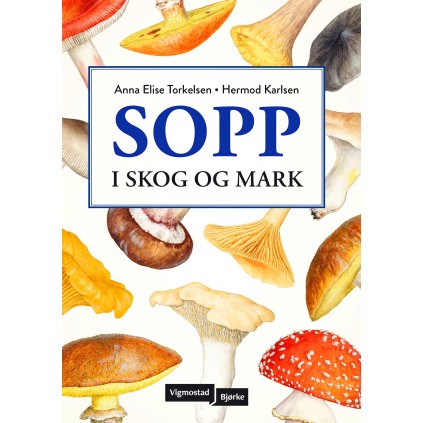 Sopp i skog og mark