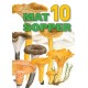 10 matsopper