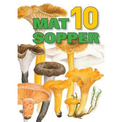 10 matsopper