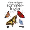 Våre vanligste sommerfugler