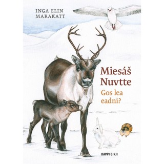 Miesáš Nuvtte – gos lea eadni?