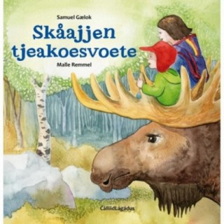 Skåajjen tjeakoesvoete