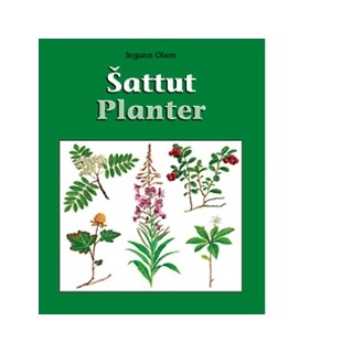 Šattut – Planter