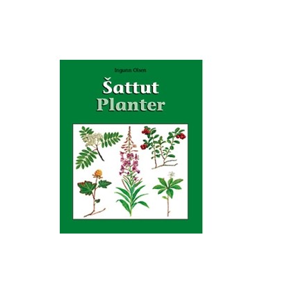 Šattut – Planter