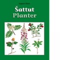 Šattut – Planter